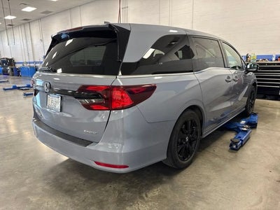 2024 Honda Odyssey Sport