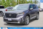 2024 Honda Pilot EX-L 8 Passenger