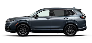 Lake Elsinore Honda in Lake Elsinore CA